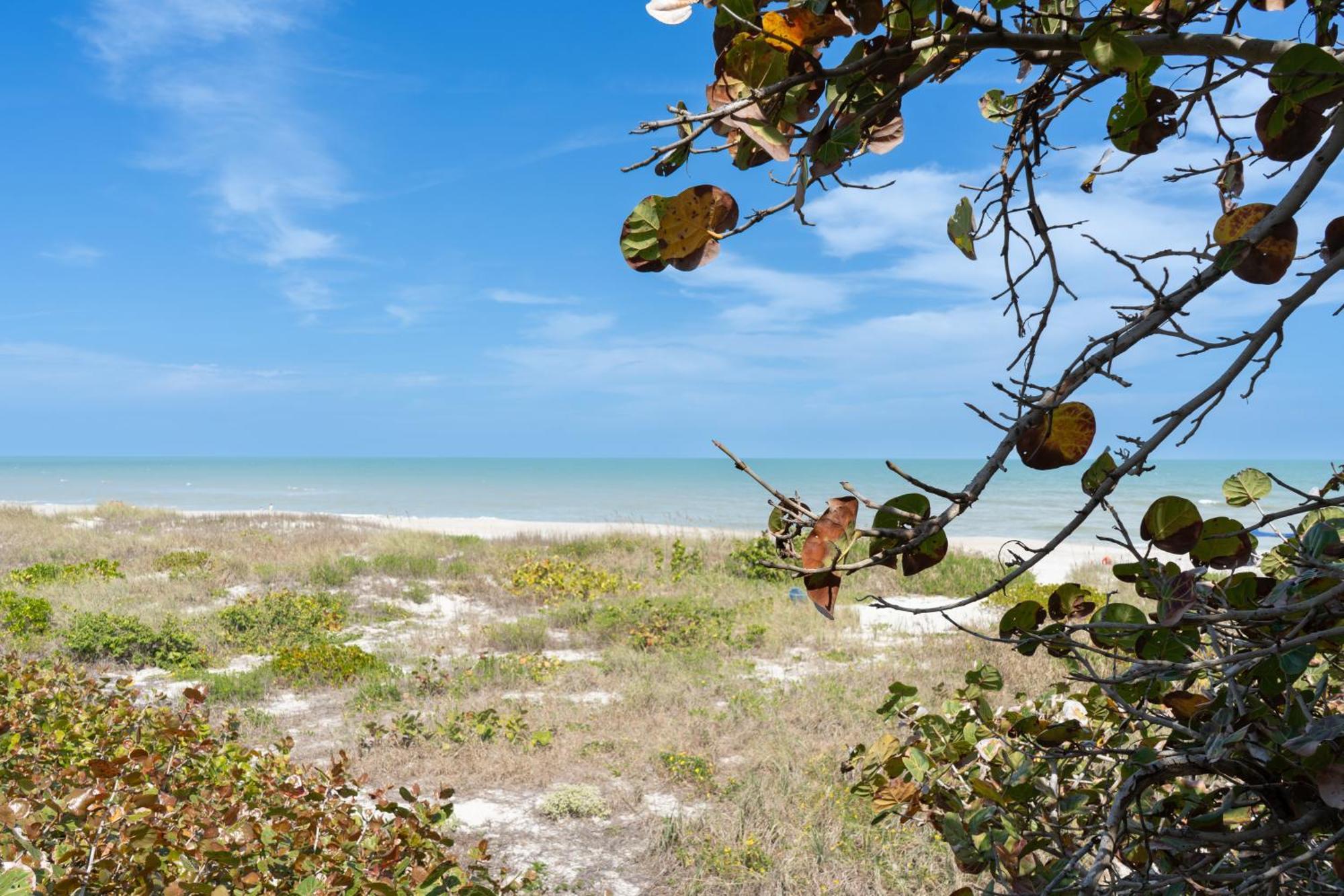 Sole Suite #1-2 Min To Beach-Patio & Courtyard Cocoa Beach Eksteriør billede